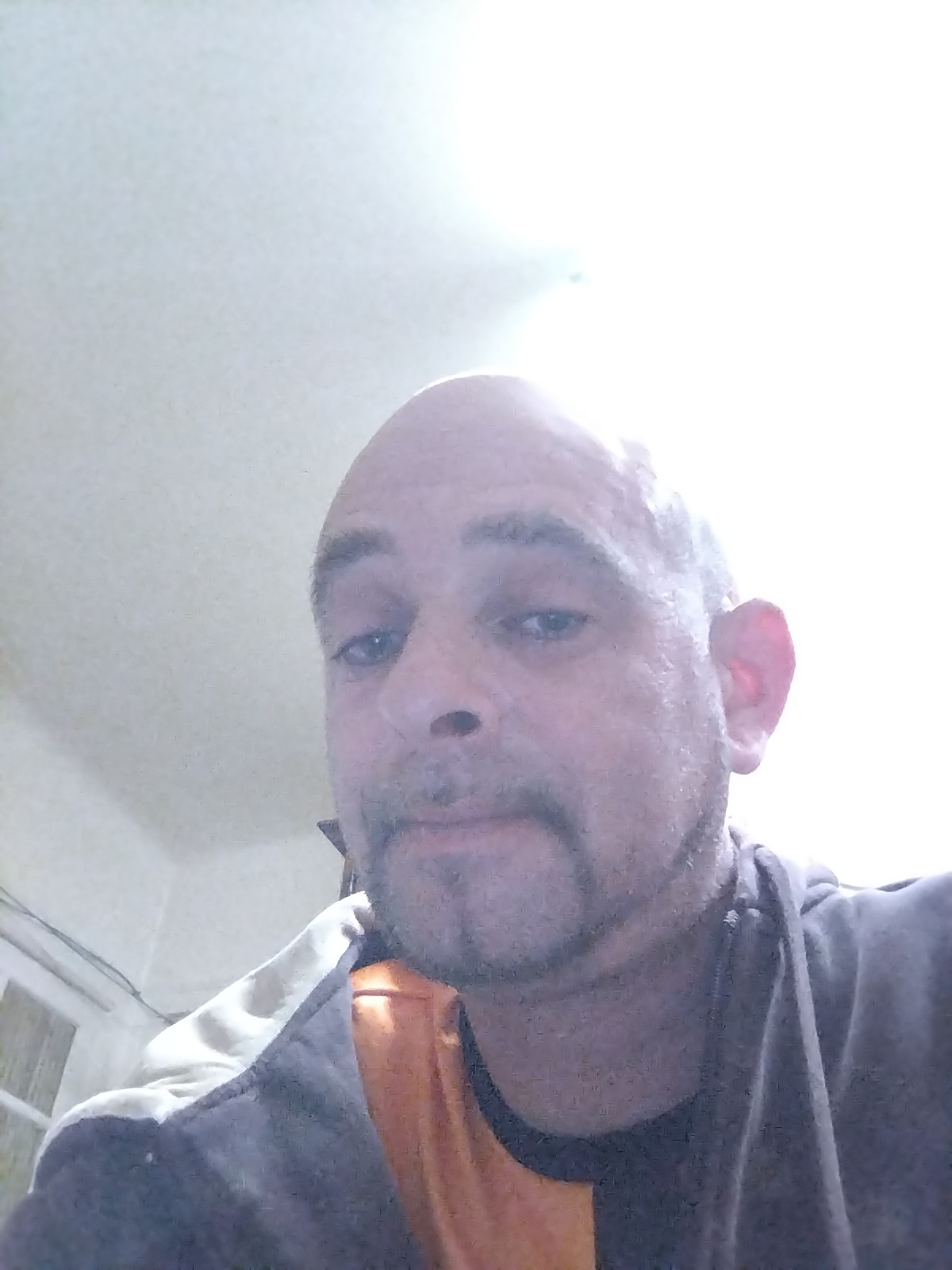Profil von Timote